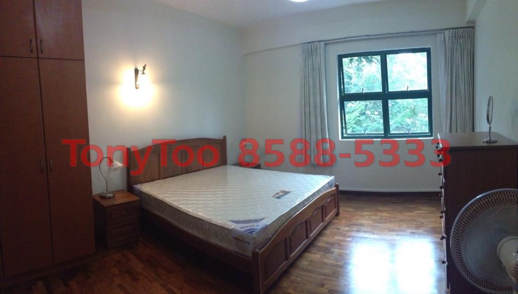 Holland Road thumbnail photo